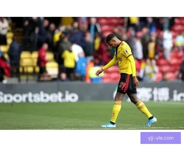 雷丁任命AI主管冲击英超回归